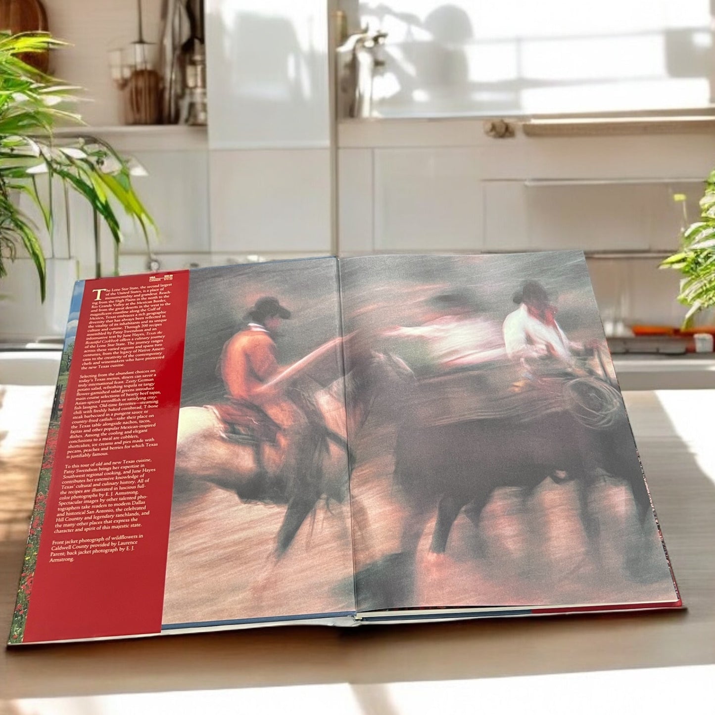 Texas The Beautiful Cookbook