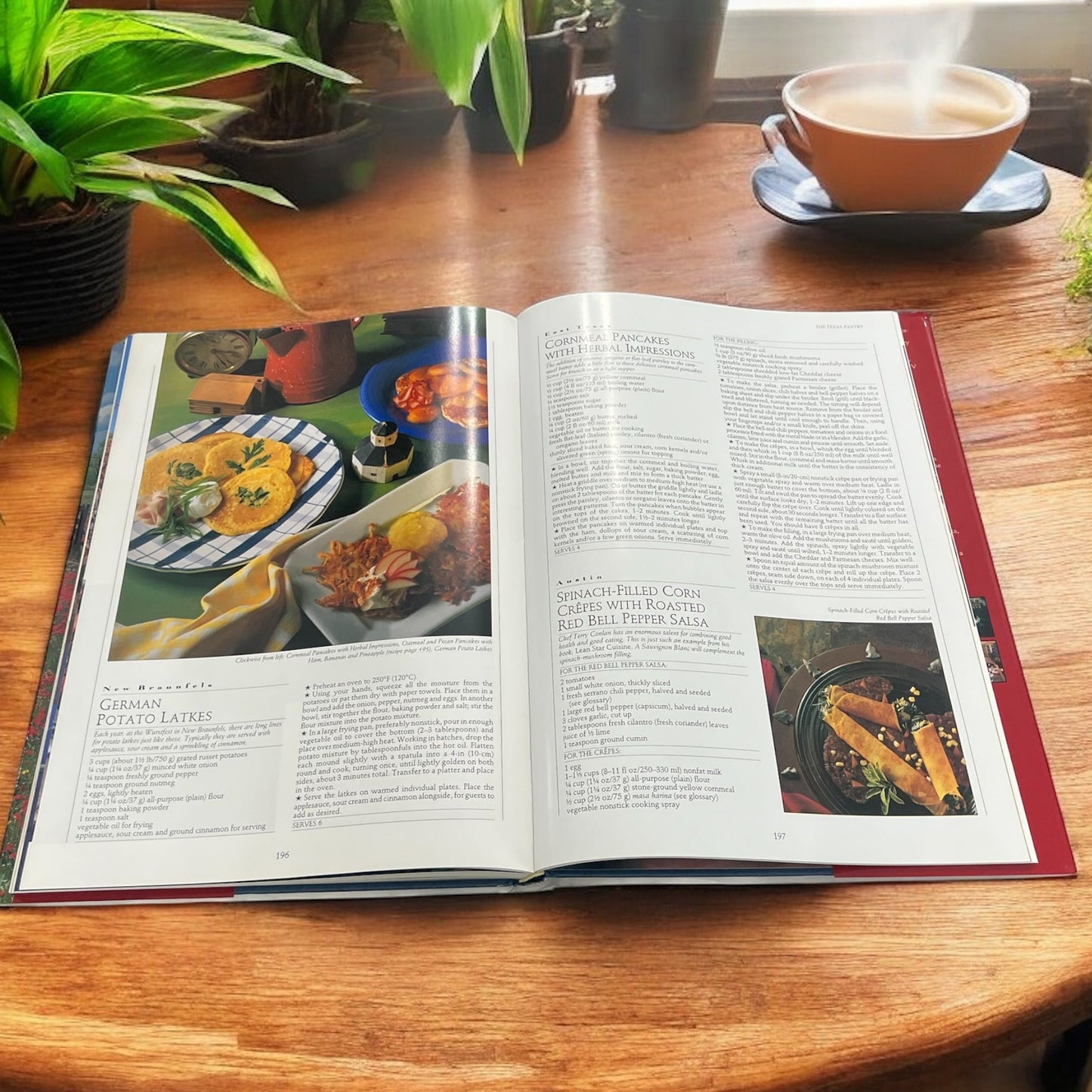 Texas The Beautiful Cookbook