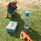 Beach Day Dog Kit