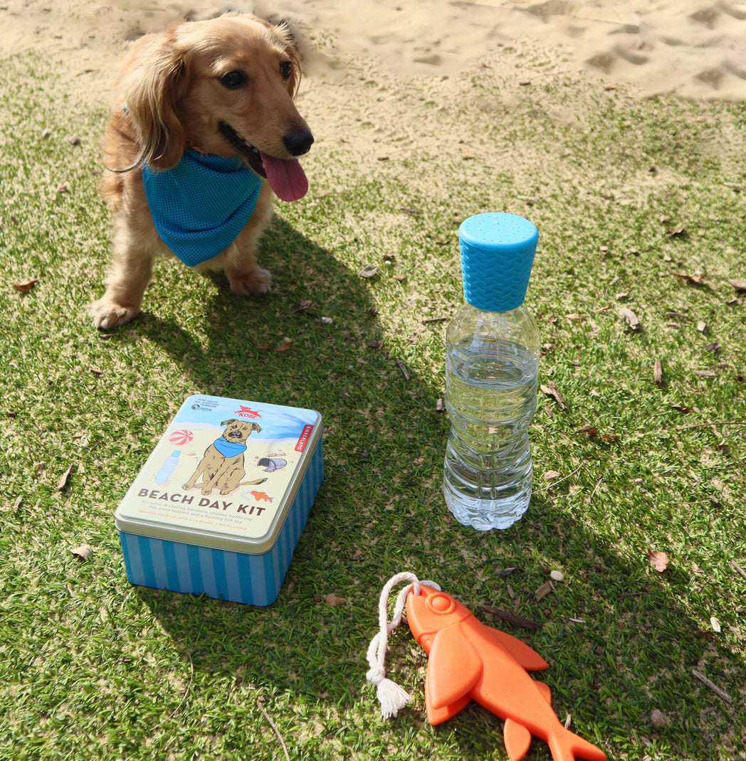 Beach Day Dog Kit