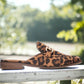 Leopard Slat Shoes