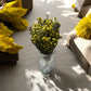 Yellow Cotton Phylica Flower Decor Bundle