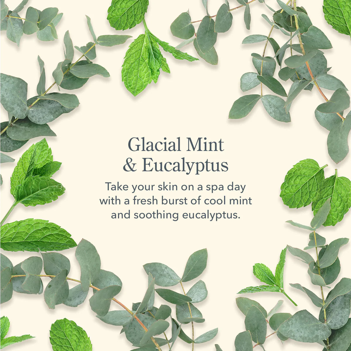 Glacial Mint & Eucalyptus 0.5 Hand Cream