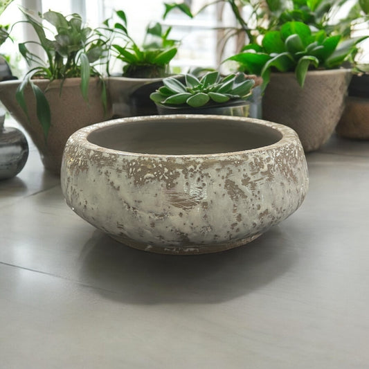 Laguna Low Bowl Planter