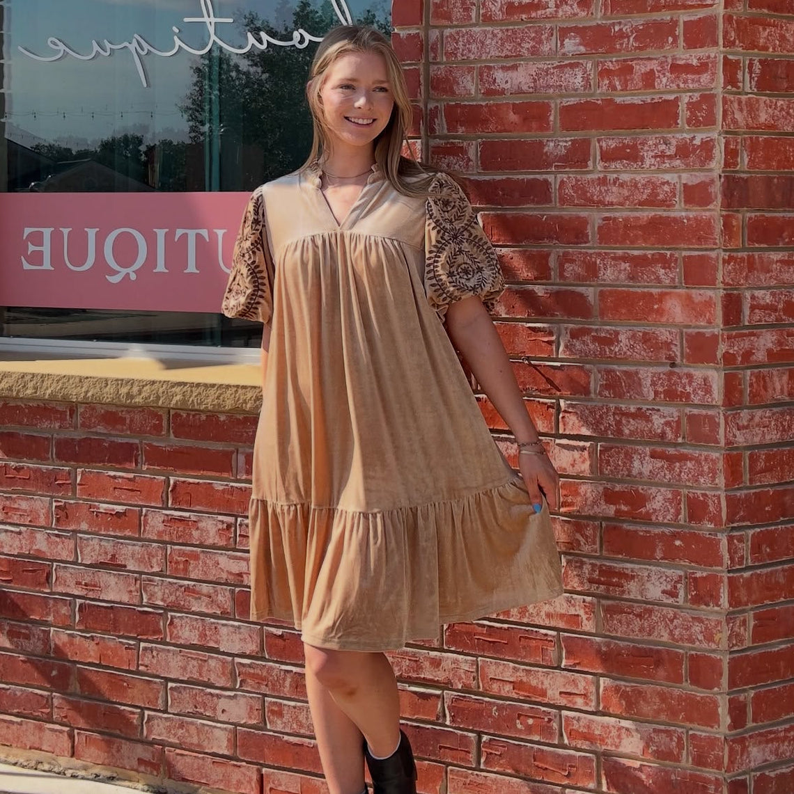 Embroidered Velvet Taupe Dress