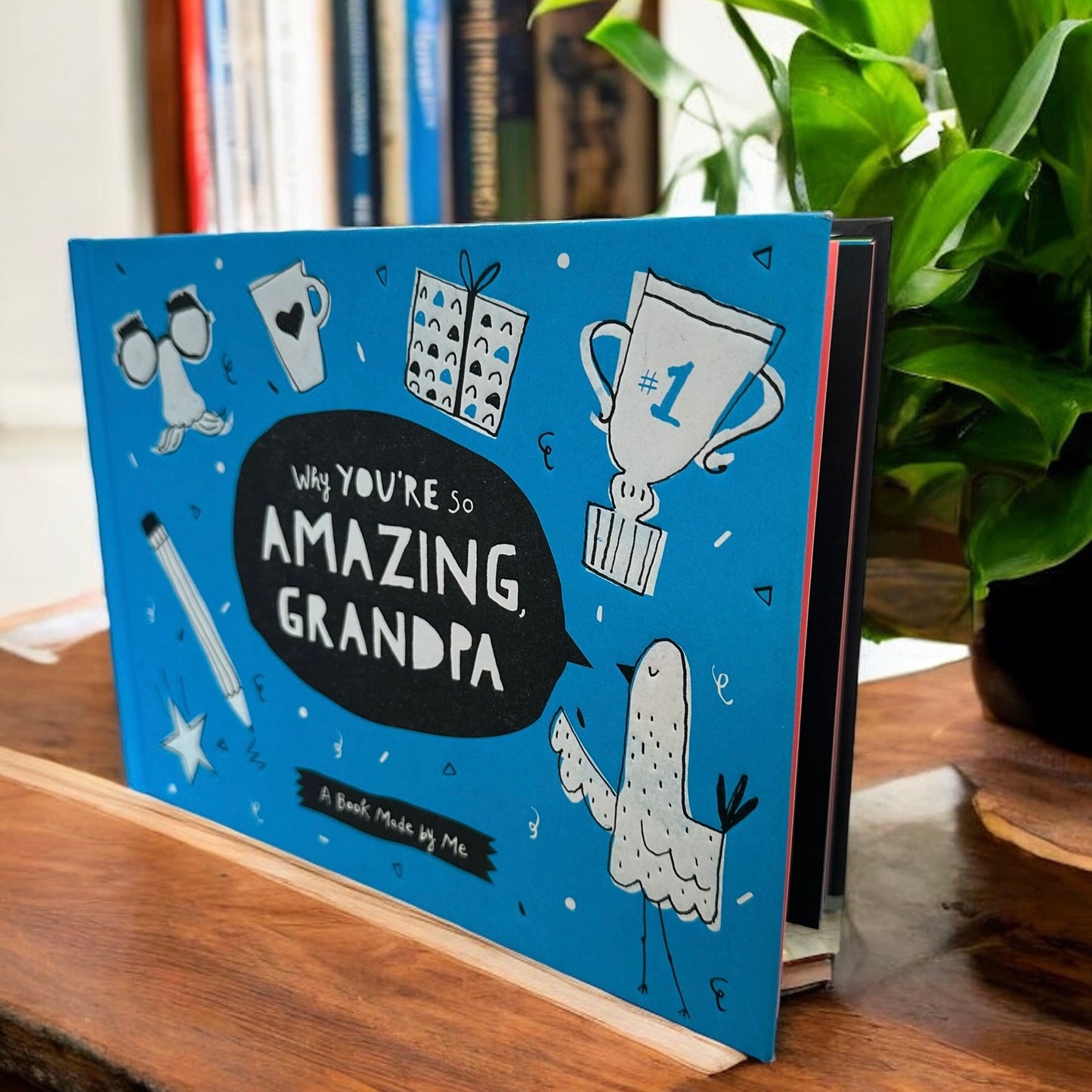 “Why You’re So Amazing Grandpa” Book