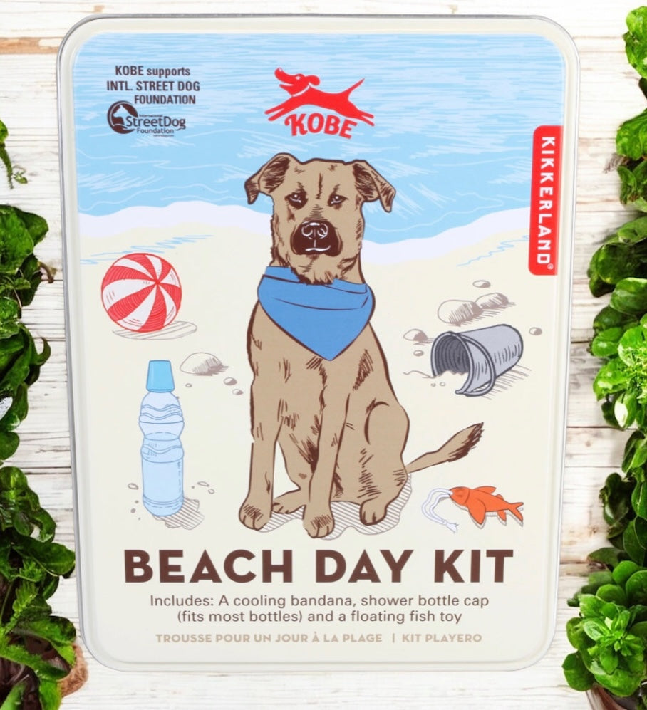 Beach Day Dog Kit