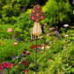 Round Top Mushroom Stakes